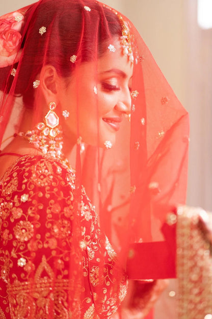 Starry Elegance Lehenga