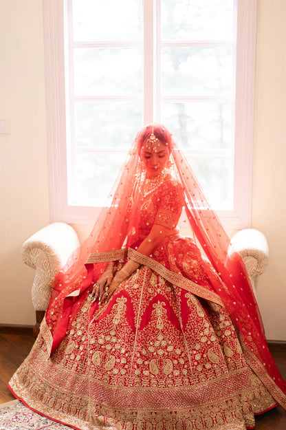Starry Elegance Lehenga