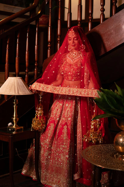 Starry Elegance Lehenga